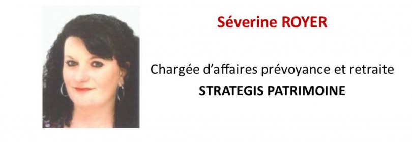 Séverine Royer, Strategis Patrimoine