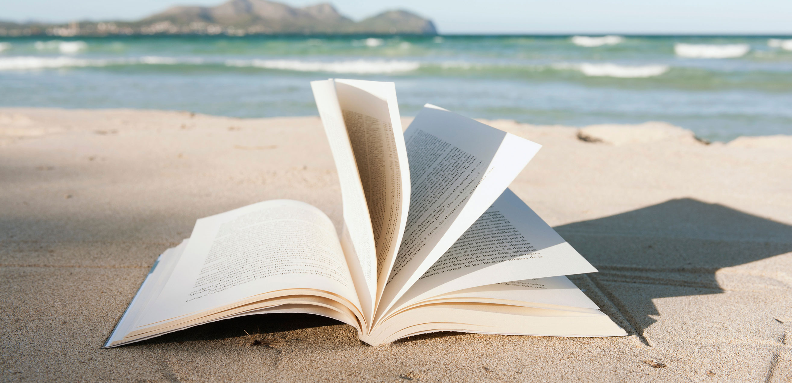 Entrepreneurs : les 6 livres de l'été à lire absolument ! - Le Bistrot des  Créateurs